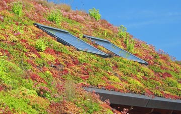 Duntocher living roof systems